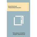 Existential Phenomenology - Hardcover