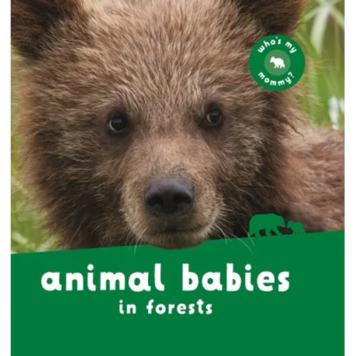 Animal Babies in Forests - Board Book