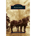Ansonia