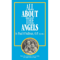 All about the Angels - Paperback