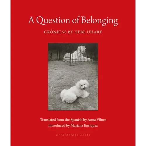 A Question of Belonging: Crónicas - Paperback