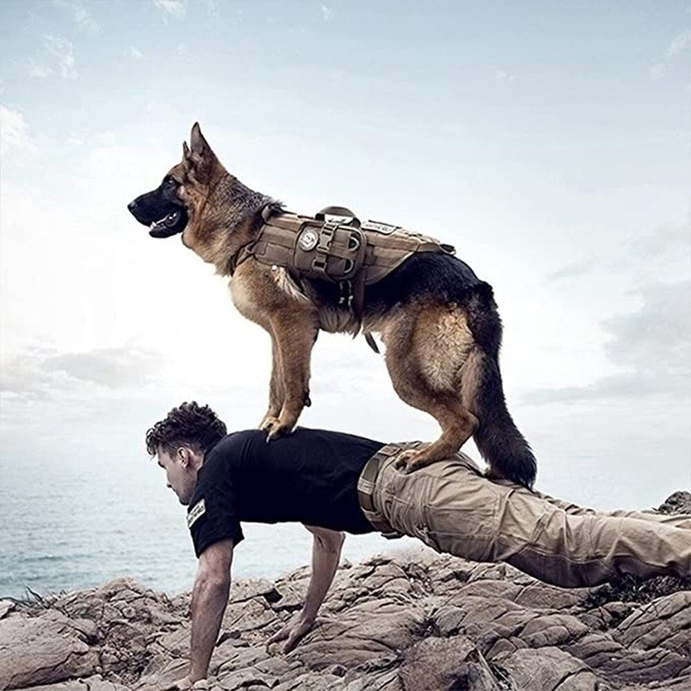 Tactical Dog Backpack Harness