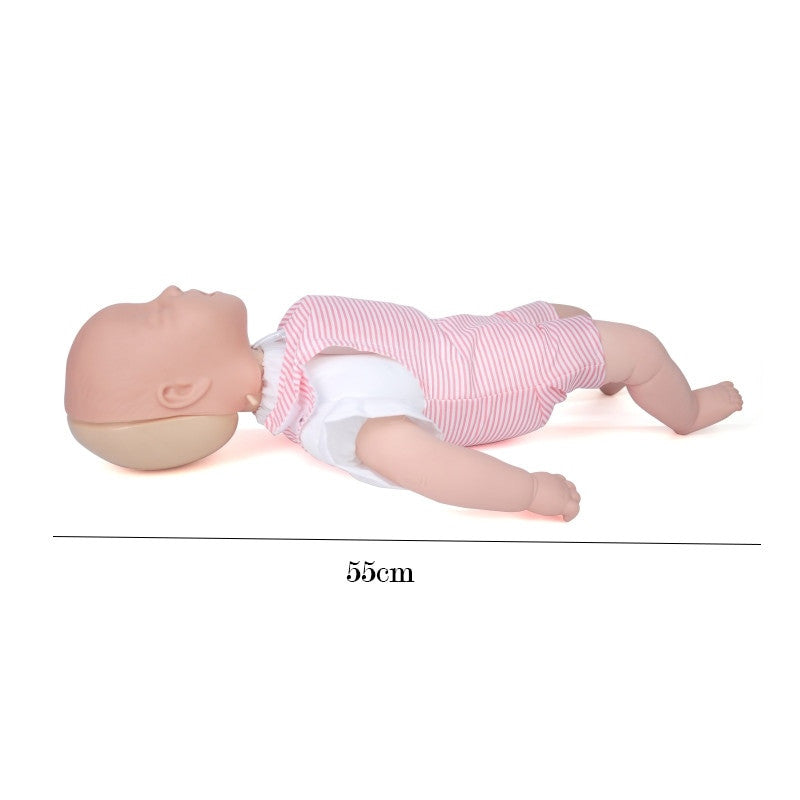 Infant airway infarction and CPR model