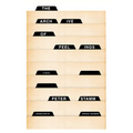 The Archive of Feelings - Paperback