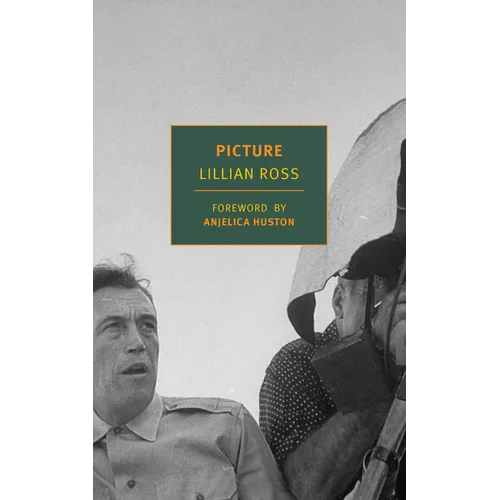 Picture - Paperback