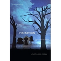 Visitation: The Conjure Work of Black Feminist Avant-Garde Cinema - Paperback