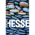 Peter Camenzind - Paperback