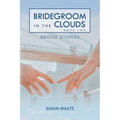 Bridegroom in the Clouds: Book 2: Bridge Stories - Paperback