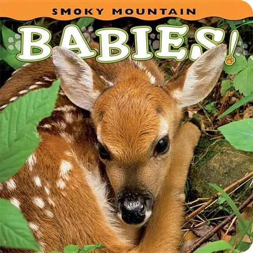 Smoky Mountain Babies! - Board Book