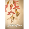 Address Book Hummingbirds - Paperback
