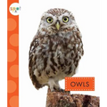 Owls - Paperback