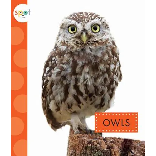 Owls - Paperback