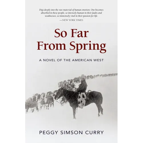 So Far from Spring - Paperback
