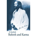 Rebirth & Karma - U.S. Edition - Paperback