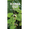 Florida Invasive Plants: How to Identify Invasive Species - Paperback