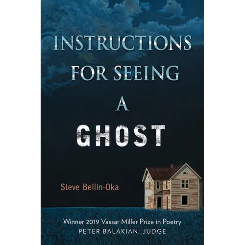Instructions for Seeing a Ghost - Paperback