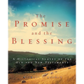 The Promise and the Blessing: A Historical Survey of the Old and New Testaments - Paperback