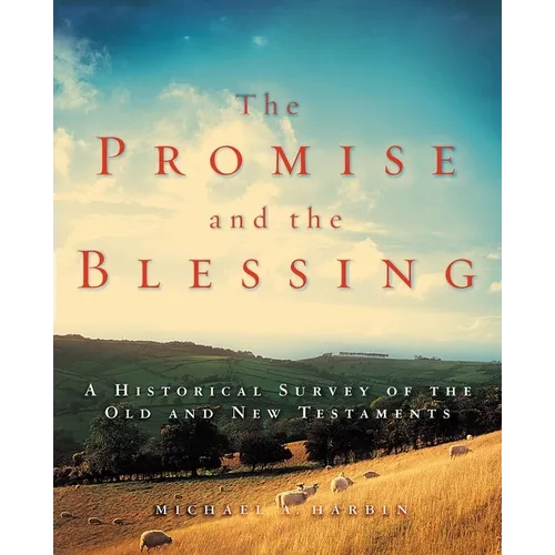 The Promise and the Blessing: A Historical Survey of the Old and New Testaments - Paperback