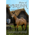 Plains of Tybrunn - Paperback