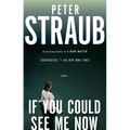 If You Could See Me Now - Paperback