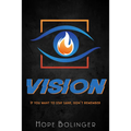 Vision: If You Want to Stay Sane, Don't Remember - Paperback