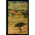 Animals of the Savannah - Paperback