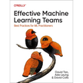 Effective Machine Learning Teams: Best Practices for ML Practitioners - Paperback