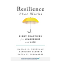 Resilience That Works: Eight Practices for Leadership and Life - Paperback