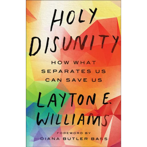 Holy Disunity: How What Separates Us Can Save Us - Paperback
