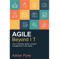 Agile Beyond It: How to Develop Agility in Project Management in Any Sector - Paperback