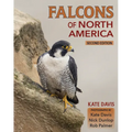 Falcons of North America - Paperback
