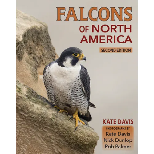Falcons of North America - Paperback