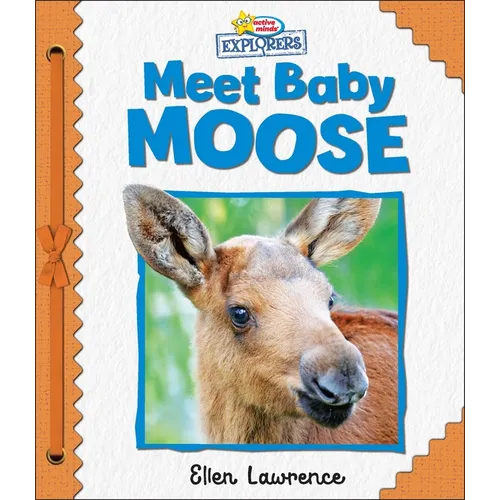 Active Minds Explorers: Meet Baby Moose - Board Book