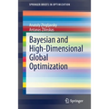 Bayesian and High-Dimensional Global Optimization - Paperback