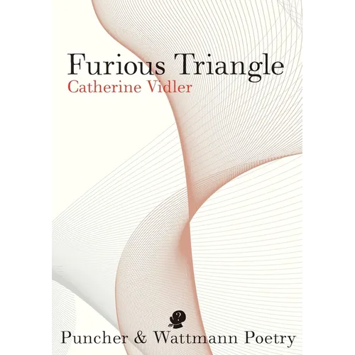 Furious Triangle - Paperback