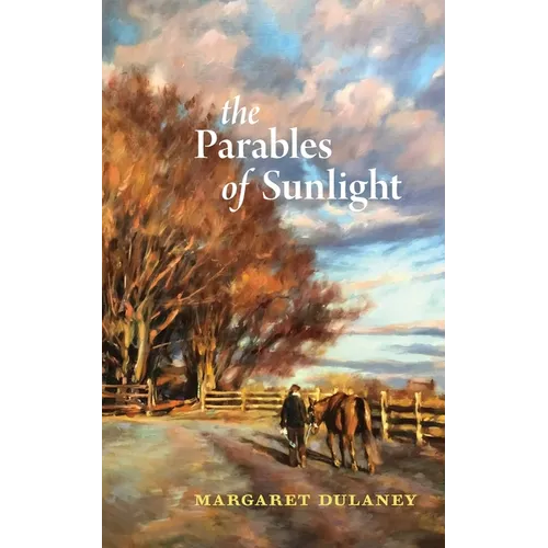 The Parables of Sunlight - Paperback