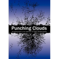 Punching Clouds: An Introduction to the Complexity of Public Decision-Making - Paperback