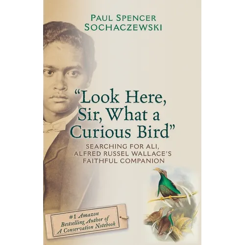 "Look Here, Sir, What a Curious Bird": Searching for Ali, Alfred Russel Wallace's Faithful Companion - Paperback