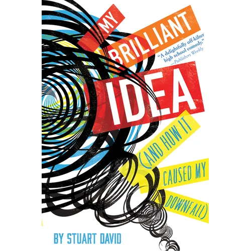 My Brilliant Idea (and How It Caused My Downfall) - Paperback