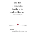The Day I Bought a Teddy Bear and a Vibrator - Paperback