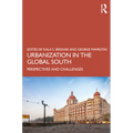 Urbanization in the Global South: Perspectives and Challenges - Paperback