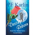 Destiny Reborn - Paperback
