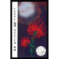 Carpe Noctem - Paperback