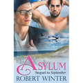 Asylum - Paperback