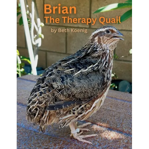 Brian The Therapy Quail - Paperback