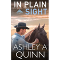 In Plain Sight - Paperback