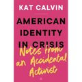 American Identity in Crisis: Notes from an Accidental Activist - Hardcover