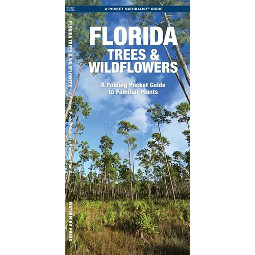 Florida Trees & Wildflowers: A Folding Pocket Guide to Familiar Plants - Paperback