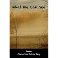 What We Can See - Paperback