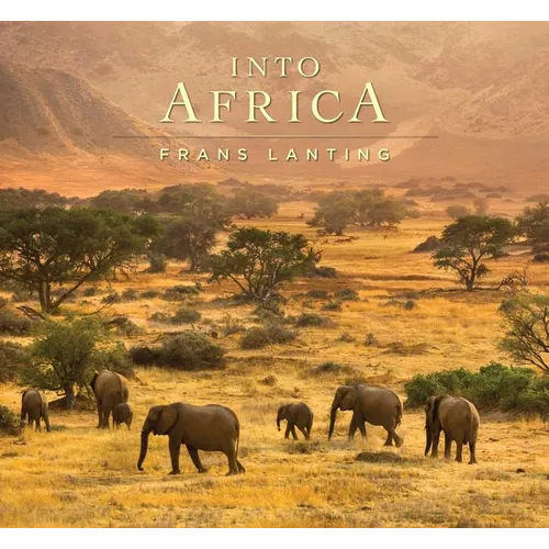 Into Africa - Hardcover